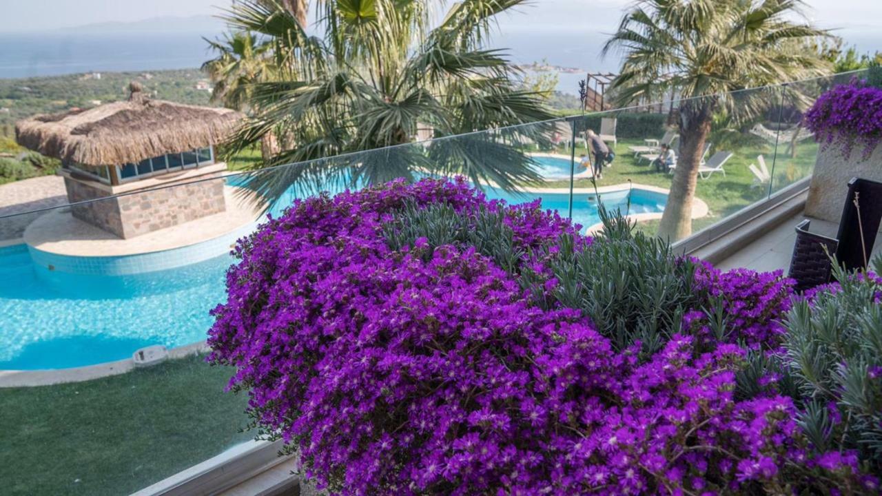 Assos Alis Farm Boutique Hotel & Spa Exterior photo