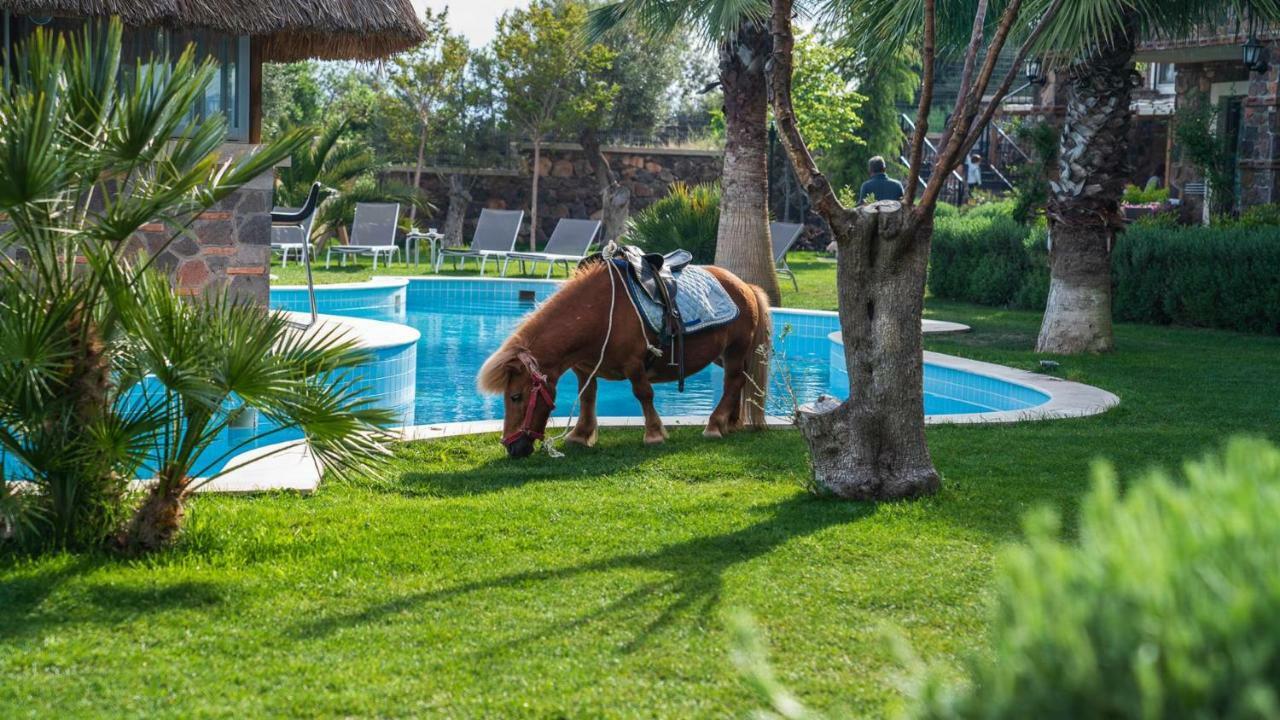 Assos Alis Farm Boutique Hotel & Spa Exterior photo