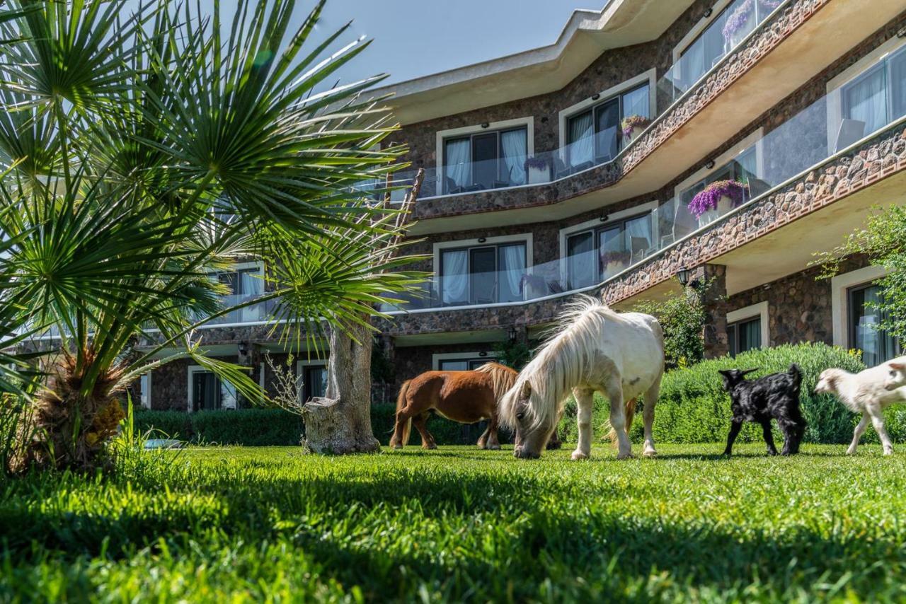 Assos Alis Farm Boutique Hotel & Spa Exterior photo