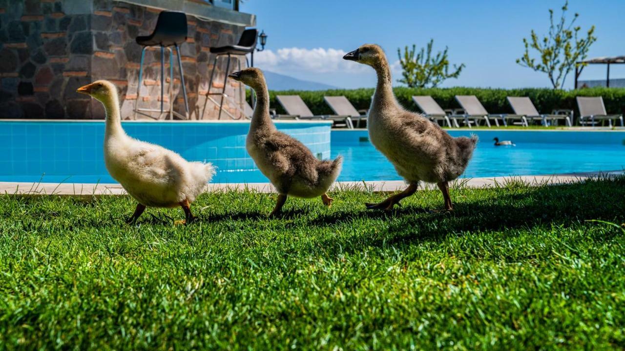 Assos Alis Farm Boutique Hotel & Spa Exterior photo