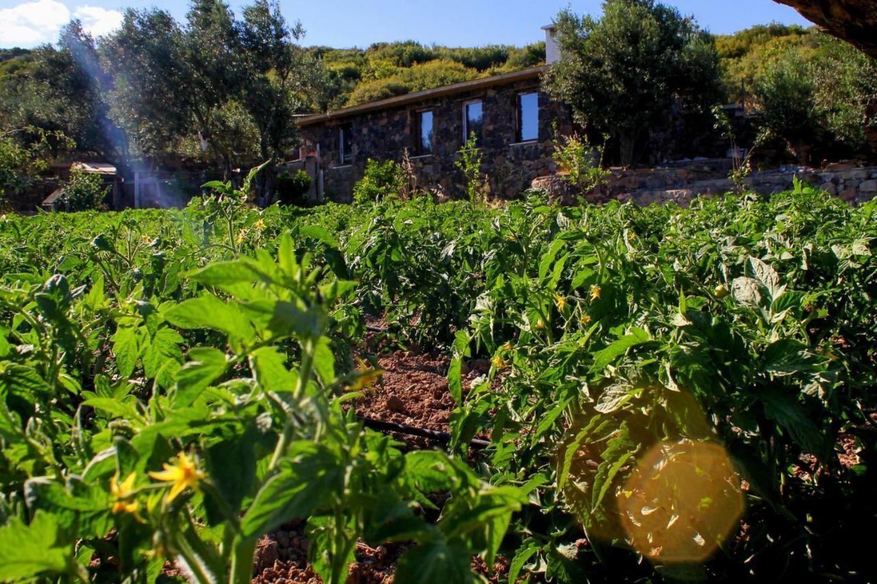 Assos Alis Farm Boutique Hotel & Spa Exterior photo